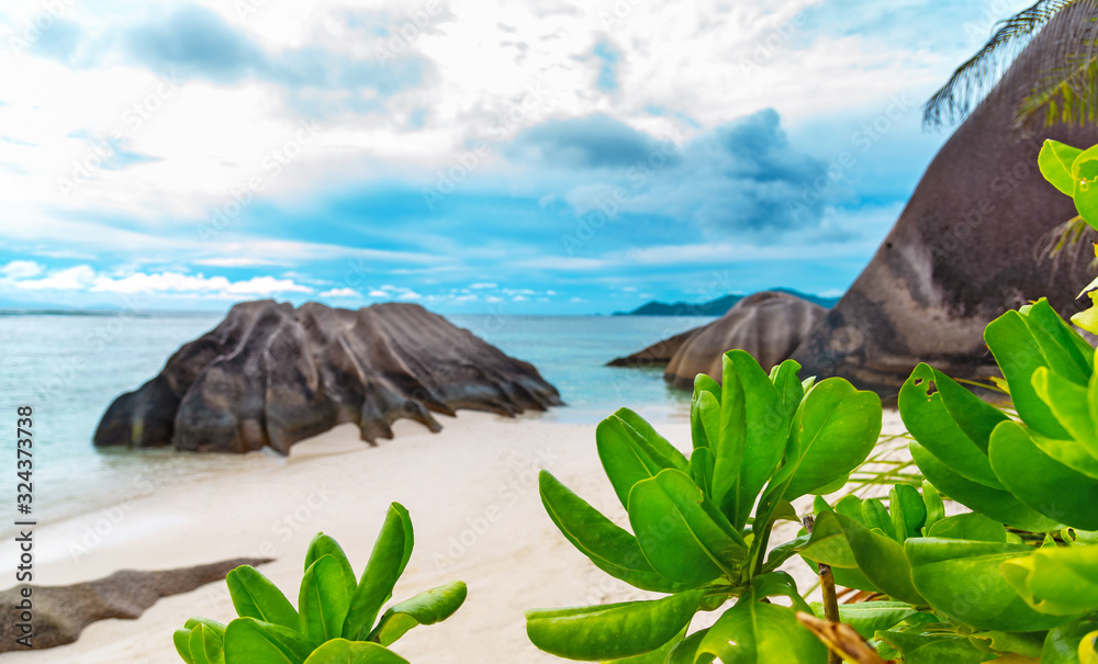 Fototapeta premium Tropical beach with calm crystal blue ocean, granite rocks and tall palm trees. Seychelles, La Digue