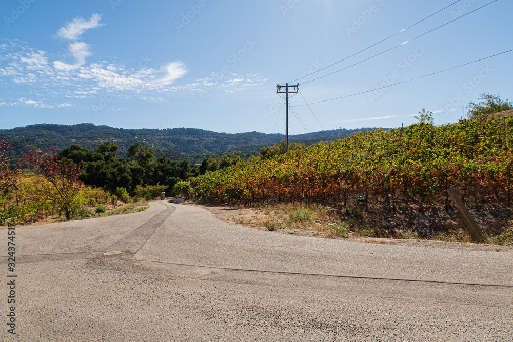 vineyard road and blue sky