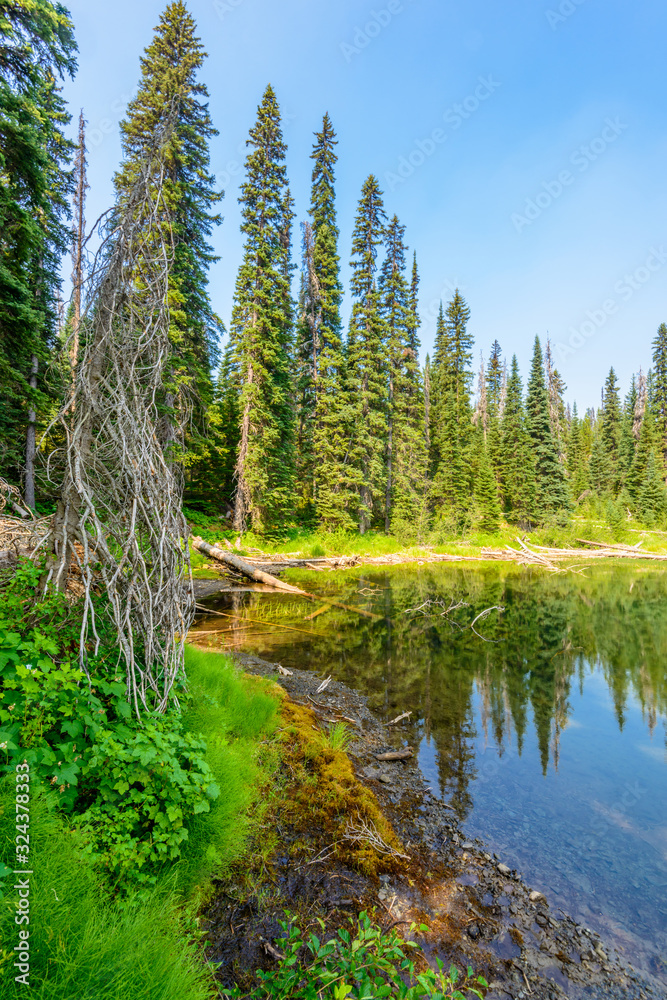 Majestic mountain lake in Canada. Lightning Lake in Manning Park in British Columbia. Lake Trail View. Majestic mountain lake in Canada. Lightning Lake in Manning Park in British Columbia. Lake Trail View.