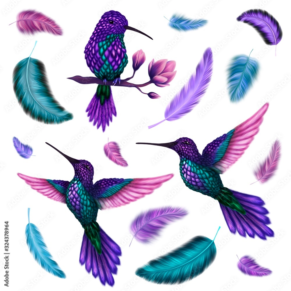 Fototapeta premium Set of colorful beautiful handdrawn hummingbird and feathers isolated on white 