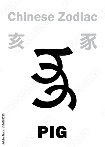 Astrology Alphabet: PIG / BOAR [豕] sign of Chinese Zodiac (The 