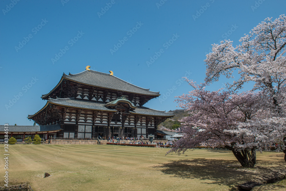 Japan Japan