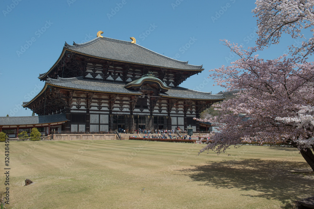 Fototapeta premium Japan