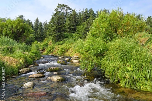 Papier peint Riffle on the mountain spawning river