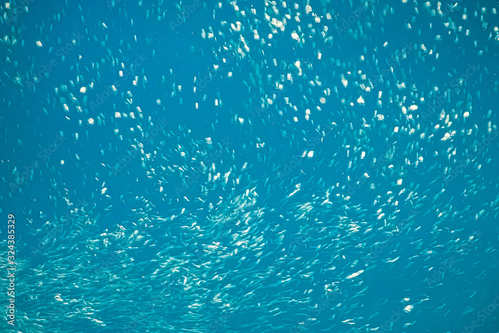 Air bubbles in blue water in motion.