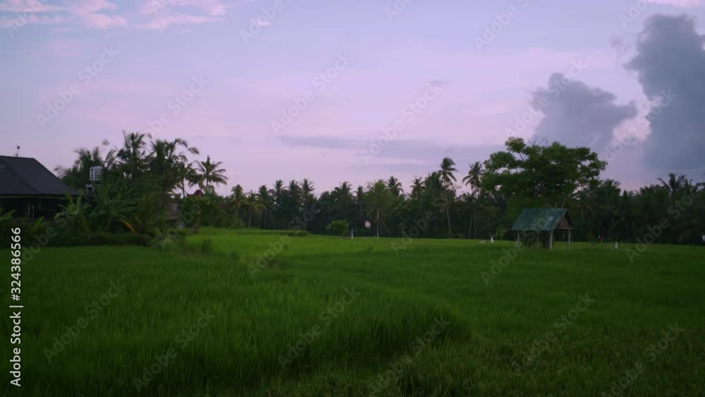 Timelapse of sky moving over rice paddy in Bali Indonesia Timelapse of sky moving over rice paddy in Bali Indonesia