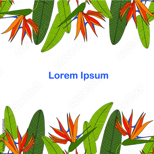 Strelitzia horisontal seamless pattern, Lorem Ipsum. Art design elementstock vector colorful tropical background from orange flowers, green leaves on white, for web, for print