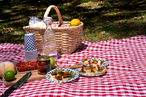 Fototapeta Naklejka Na Ścianę i Meble -  Wicker basket on red checkered tablecloth with fruits and organic food on grass, vegan picnic with healthy food in park outside at summer day