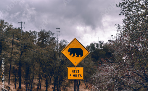 Bear Sign in Sequoia Tree National Park