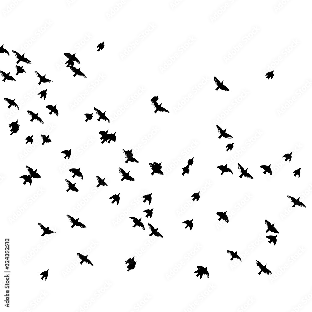 A flock of flying birds. Vector illustration A flock of flying birds. Vector illustration