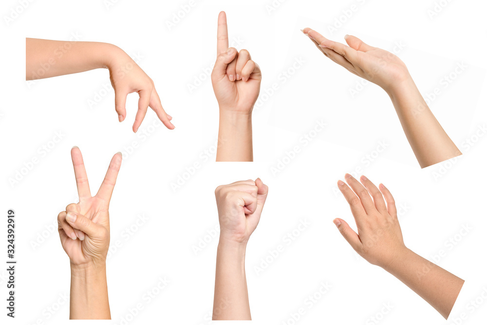 Set of woman hands gesturing isolated on white background. Set of woman hands gesturing isolated on white background.