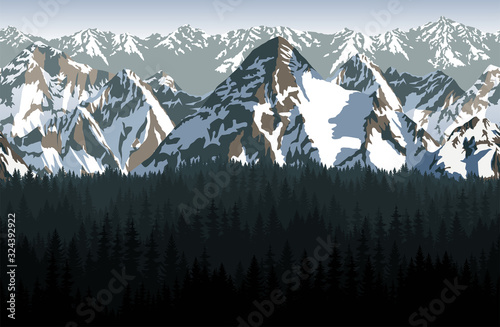 vector seamless Rocky Mountain National Park with woodland background illustration