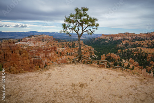 hiking the rim trail in bryce canyon national park in utah in the usa