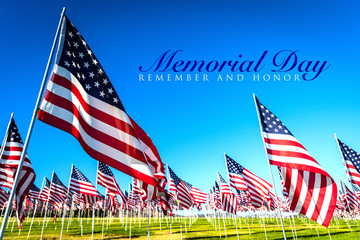 A large group of American flags. Veterans or Memorial day display