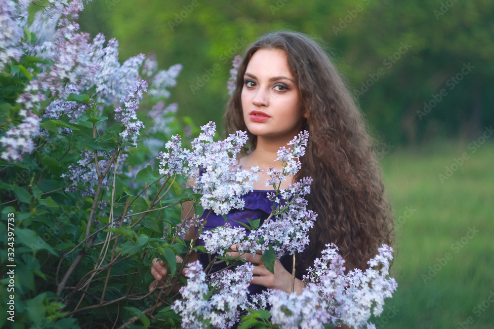 A woman dressed in a beautiful purple dress on a background of lilac bushes with a bouquet of lilac in the hands of spring. A woman dressed in a beautiful purple dress on a background of lilac bushes with a bouquet of lilac in the hands of spring.