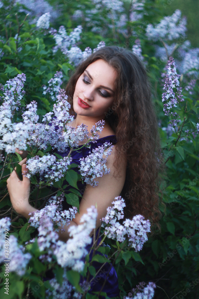 A woman dressed in a beautiful purple dress on a background of lilac bushes with a bouquet of lilac in the hands of spring. A woman dressed in a beautiful purple dress on a background of lilac bushes with a bouquet of lilac in the hands of spring.