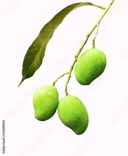 pear fruit isolated on white background