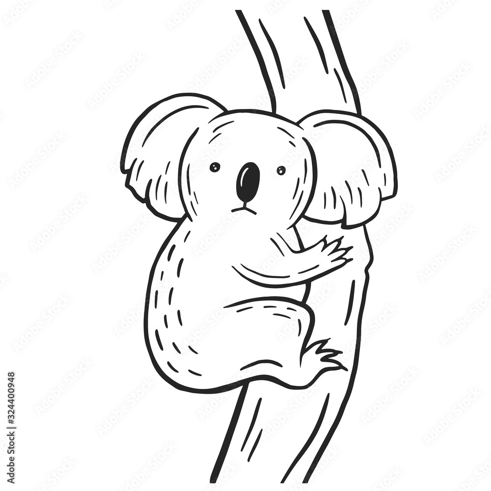 Koala. Vector linear drawing by hand. Illustration of an animal.