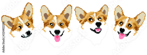 Set of vector pixel art Pembroke Welsh Corgi dog isolated on white background.