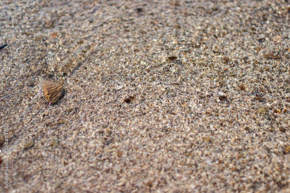 Background of sand and water. Through the transparent water, the bottom of the reservoir of sand and small shells shines through. Background for summer cards.