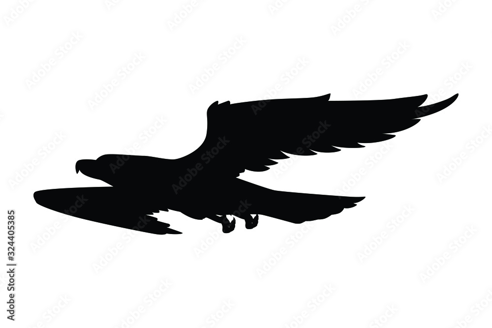Flying eagle silhouette vector, animal Flying eagle silhouette vector, animal