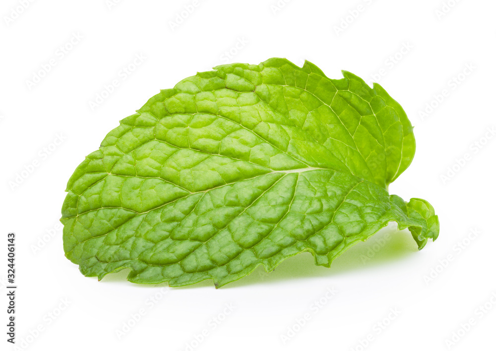 Mint leaves on white background. Clipping path. Mint leaves on white background. Clipping path.