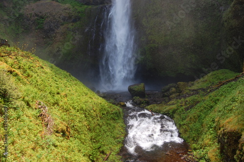 mossy waterfall