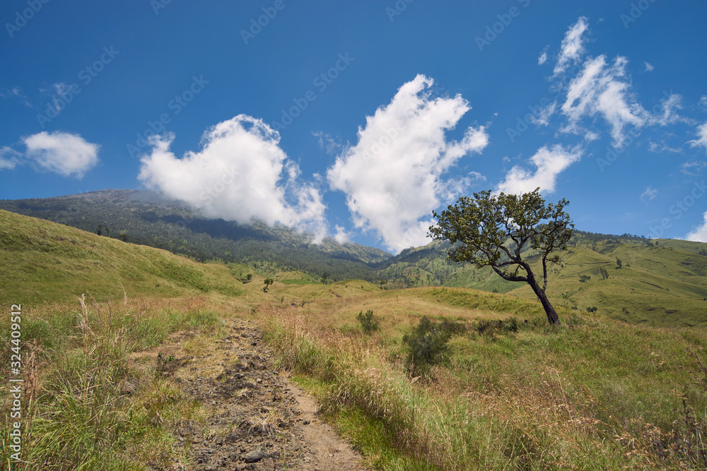 The view on Rinjani volcano The view on Rinjani volcano