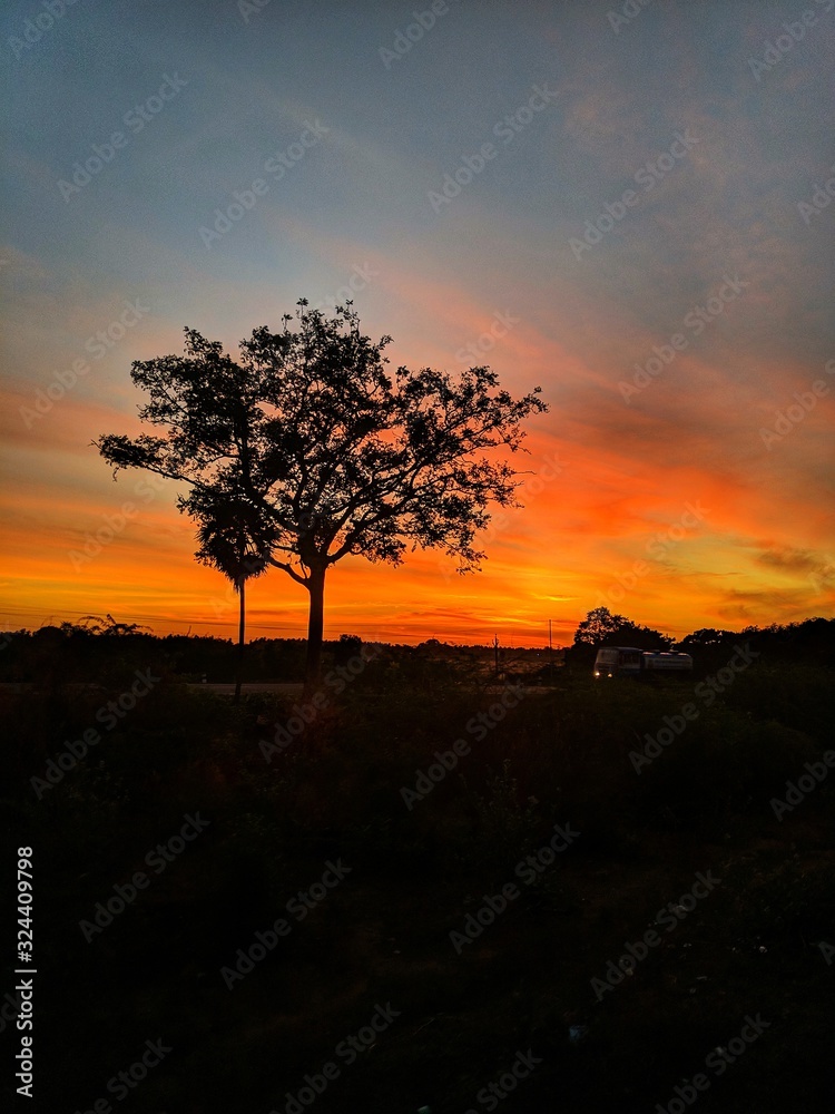 A Lonely tree at the backdrop of a Sunrise.
