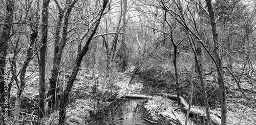 Chisholm Creek National Park  photo