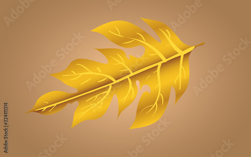 golden leafs on the white background	