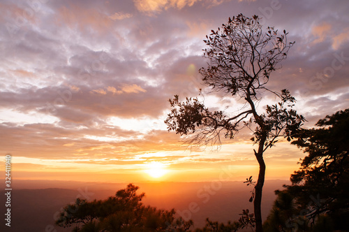 Beautiful sunset sky with clouds and tree at Pha Lom Sak, Phu Kradueng. Loei - Thailand