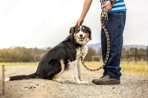 Dog with boy on  a walk in the country on a farm / Dog being petted by owner
