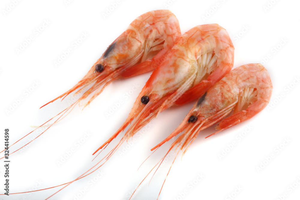 Shrimps isolated on white. Fresh sea food Shrimps isolated on white. Fresh sea food