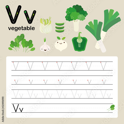 Alphabet tracing worksheet for preschool and kindergarten to improve basic writing skills, letter V, vegetable, vector, illustration