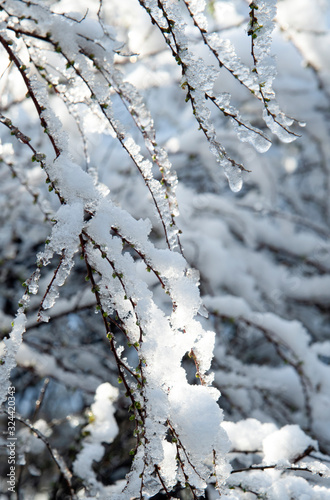 雪景色