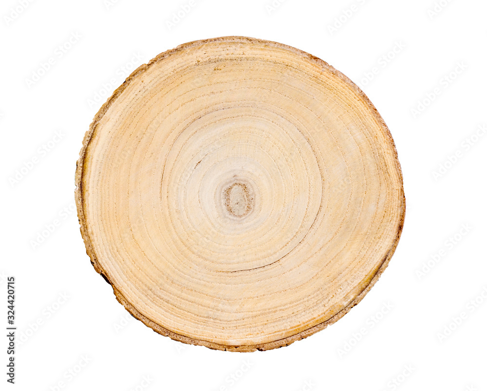 Cross section of flat round tree trunk showing growth rings isolated on white background. Cross section of flat round tree trunk showing growth rings isolated on white background.