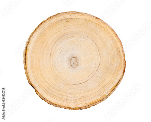 Cross section of flat round tree trunk showing growth rings isolated on white background.