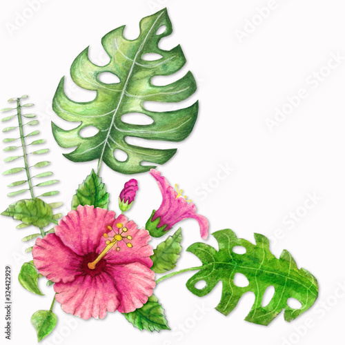 Tropical plants watercolor drawing: Chinese rose, hibiscus, monstera, palm leaf. For the design of invitations, cards, prints and other exotic tropical plants watercolor