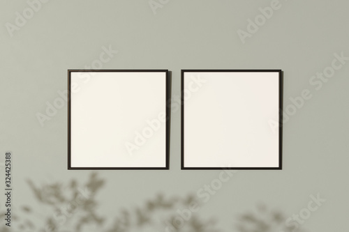 Fototapeta Naklejka Na Ścianę i Meble -  Two square black frame mock up on the green wall with plant shadows overlays. 3d illustrations.