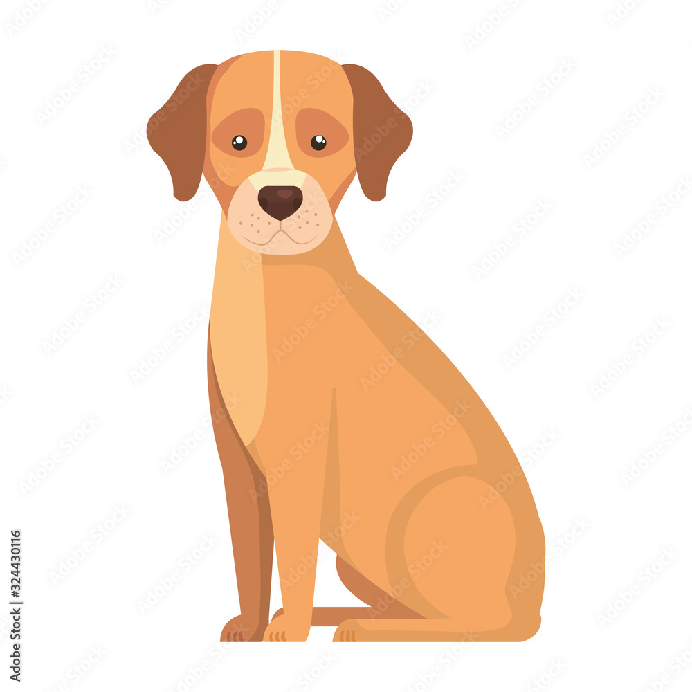 Fototapeta premium cute dog animal isolated icon vector illustration design