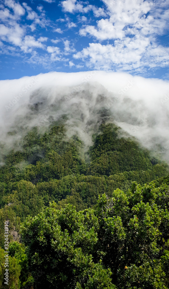 Beautiful image of clouds flowing down the mouuntain slope and old forest