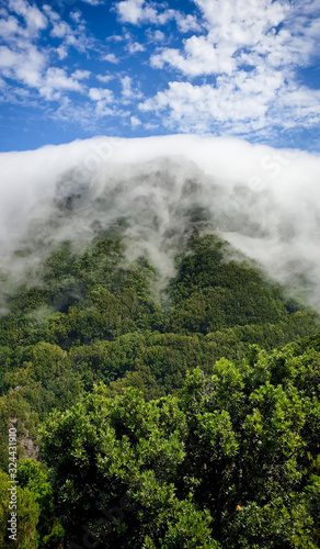Beautiful image of clouds flowing down the mouuntain slope and old forest photo