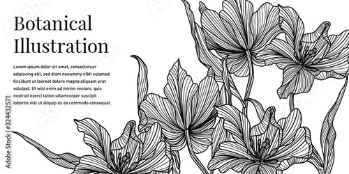 Black and White Iris Flower Illustration