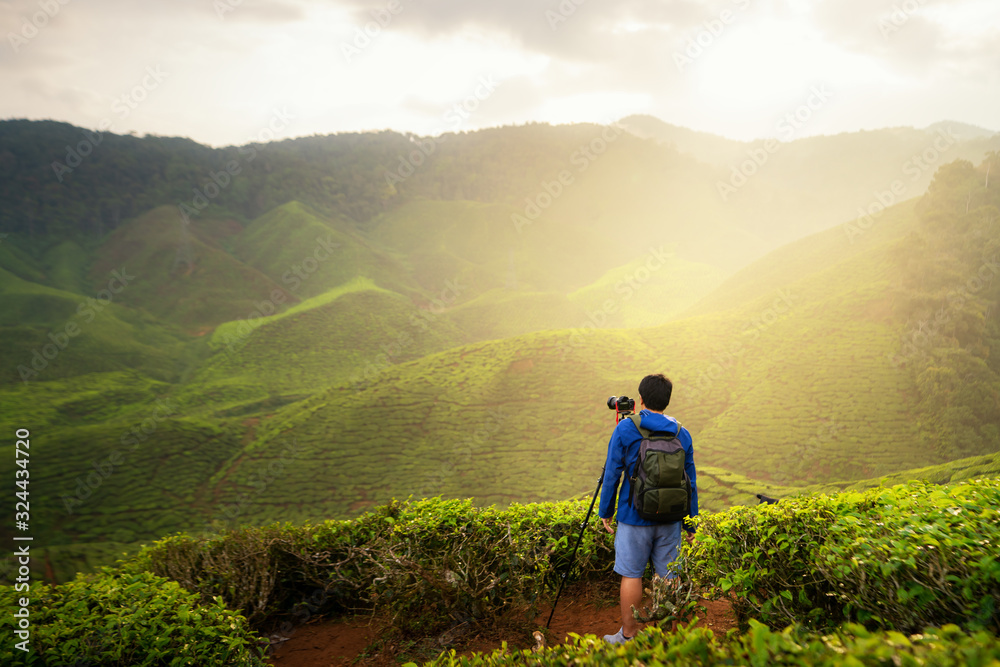 Young asian photographer traveling into tea fields with mist. Young man traveler take a photo of mountain tea field, Enjoying tea plantations in Cameron Highlands near Kuala lumpur, Malaysia