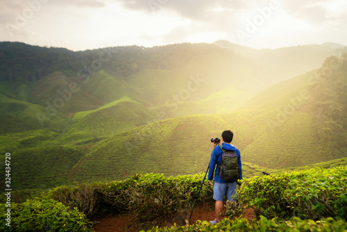 Young asian photographer traveling into tea fields with mist. Young man traveler take a photo of mountain tea field  Enjoying tea plantations in Cameron Highlands near Kuala lumpur  Malaysia