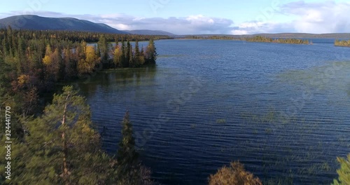 Autumn color trees at a lake, Aerial, rising, drone shot, over foliage colored forest, revealing the Pallasjarvi, on a sunny, fall day, in Pallas-Yllas national park, Muonio, Finland photo