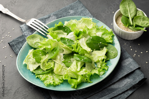 Healthy food. Top view of a fresh green vegetable salad of spinach  lettuce and sesame seeds on a plate.