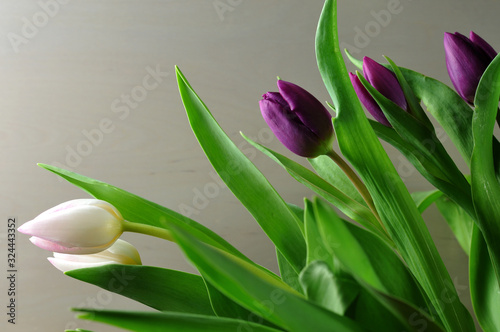 a bunch with white and purple tulips