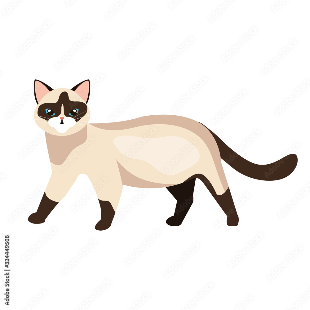 cute cat animal isolated icon vector illustration design